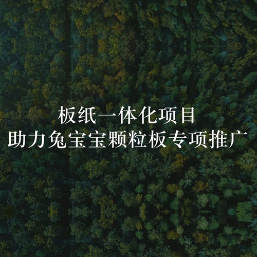 板纸一体化项目，助力k8凯发颗粒板专项推广