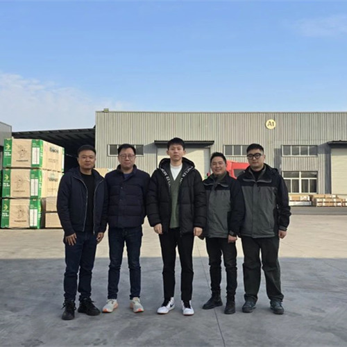 探索未来家居新风尚|k8凯发彩臻板的创新之旅